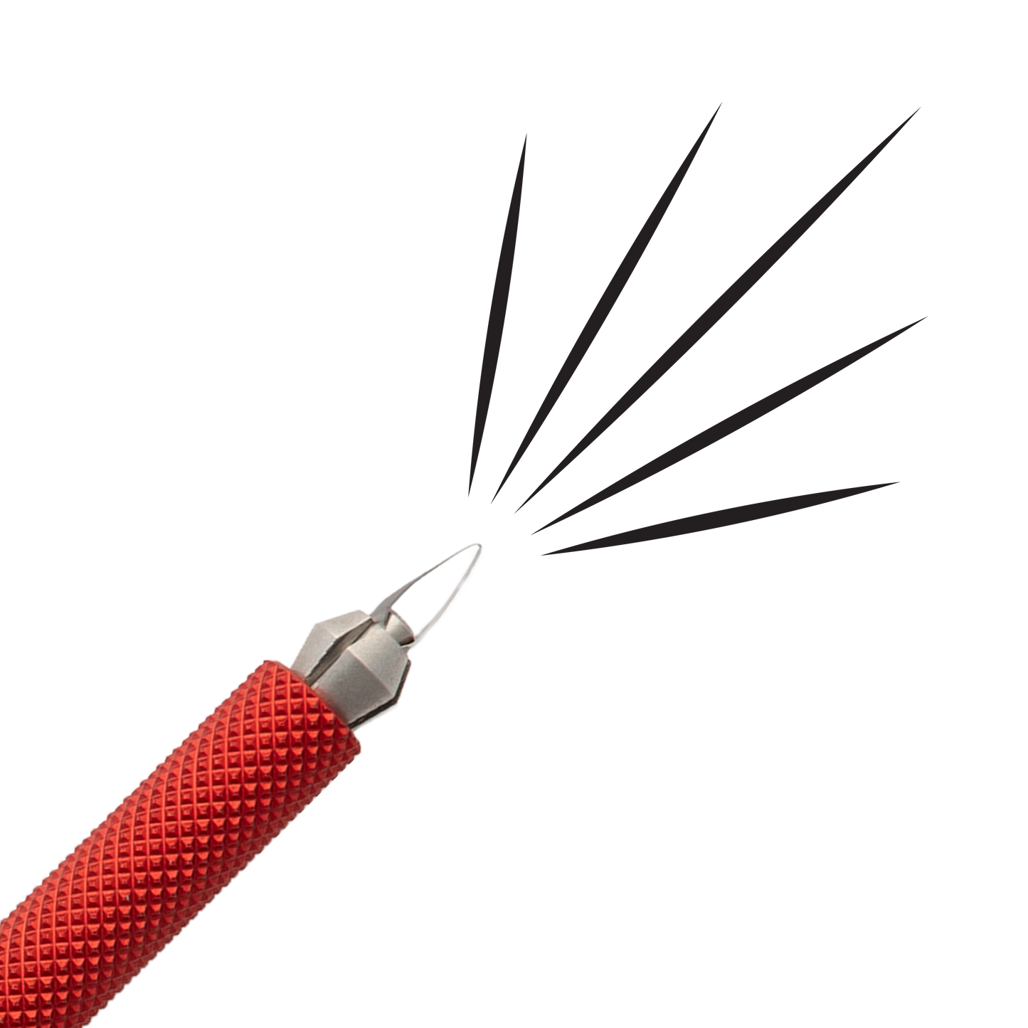 Dragonfly Tool Starter Detail Kit